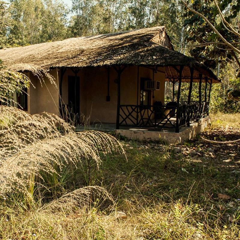 Hotel Jim's Jungle Retreat Rāmnagar Exterior foto