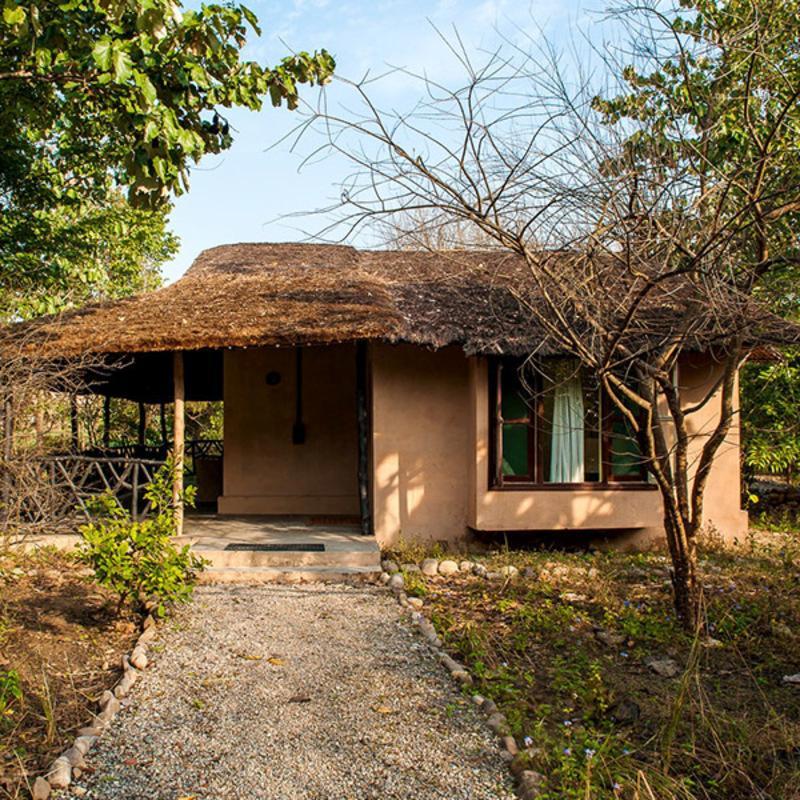 Hotel Jim's Jungle Retreat Rāmnagar Exterior foto