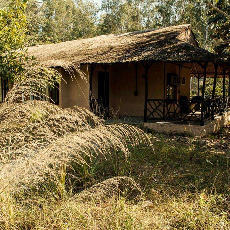 Hotel Jim's Jungle Retreat Rāmnagar Exterior foto