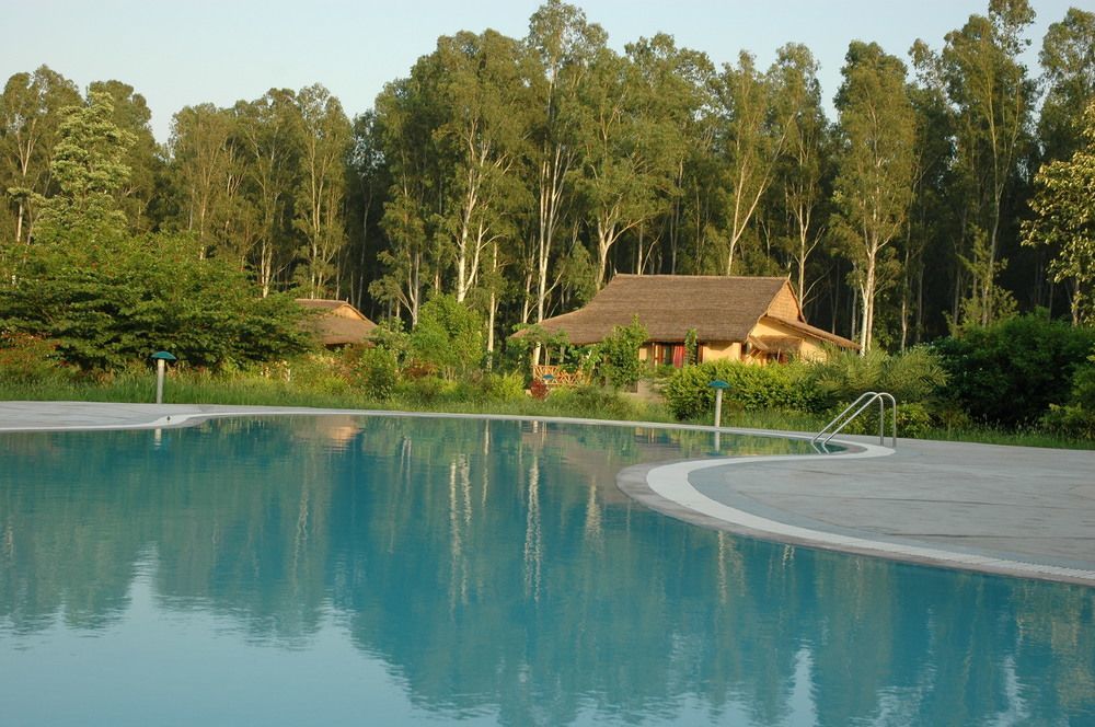 Hotel Jim's Jungle Retreat Rāmnagar Exterior foto