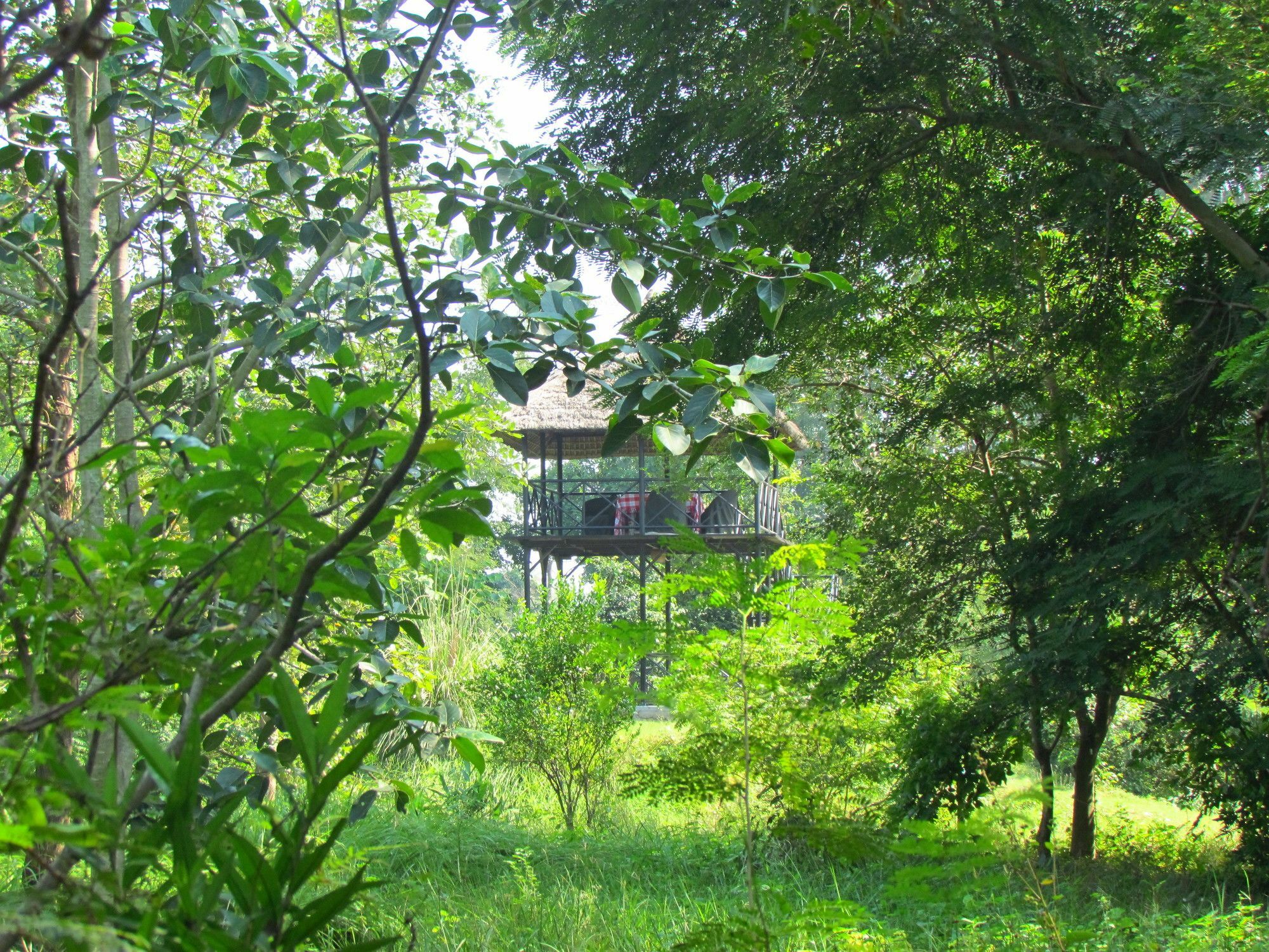 Hotel Jim's Jungle Retreat Rāmnagar Exterior foto
