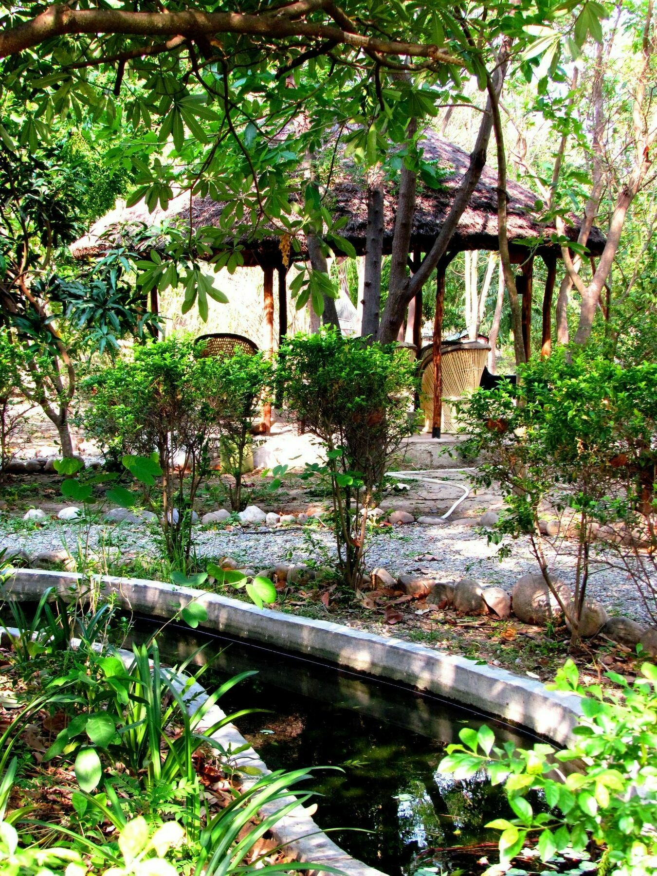 Hotel Jim's Jungle Retreat Rāmnagar Exterior foto