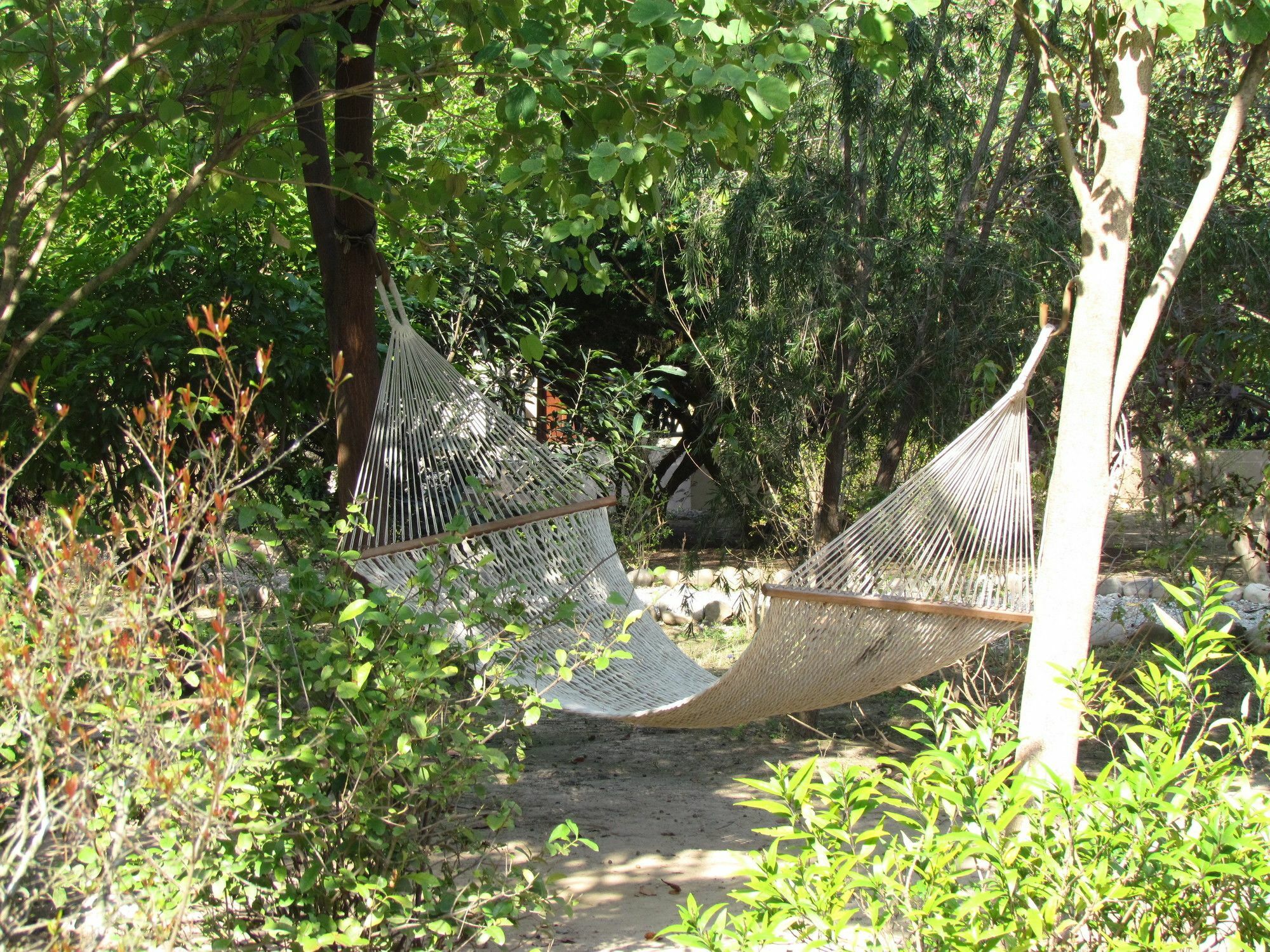 Hotel Jim's Jungle Retreat Rāmnagar Exterior foto